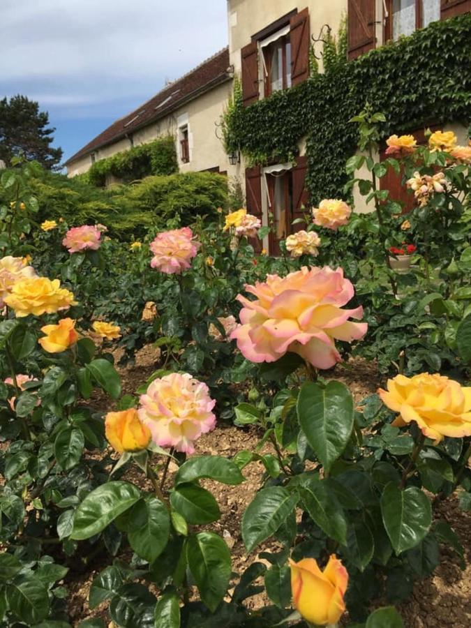 Entre Canal Et Vignes Bed & Breakfast Escolives-Sainte-Camille Exterior photo